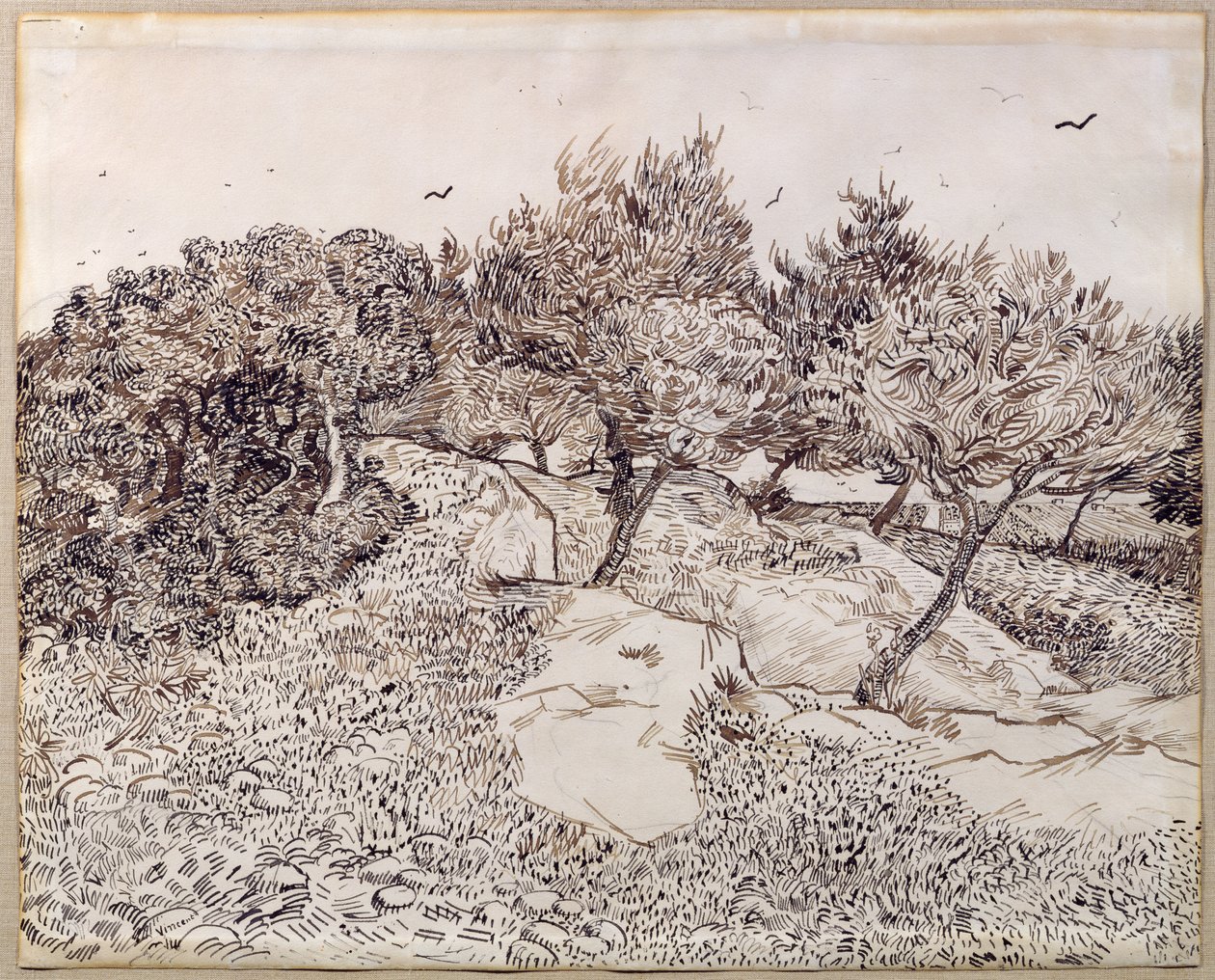 Oliventræerne af Vincent van Gogh