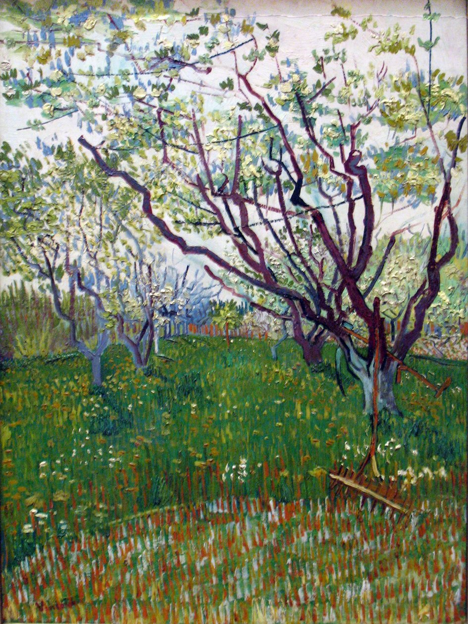 Den blomstrende frugtplantage af Vincent van Gogh