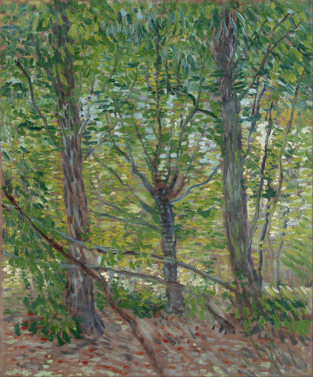 Træer af Vincent van Gogh