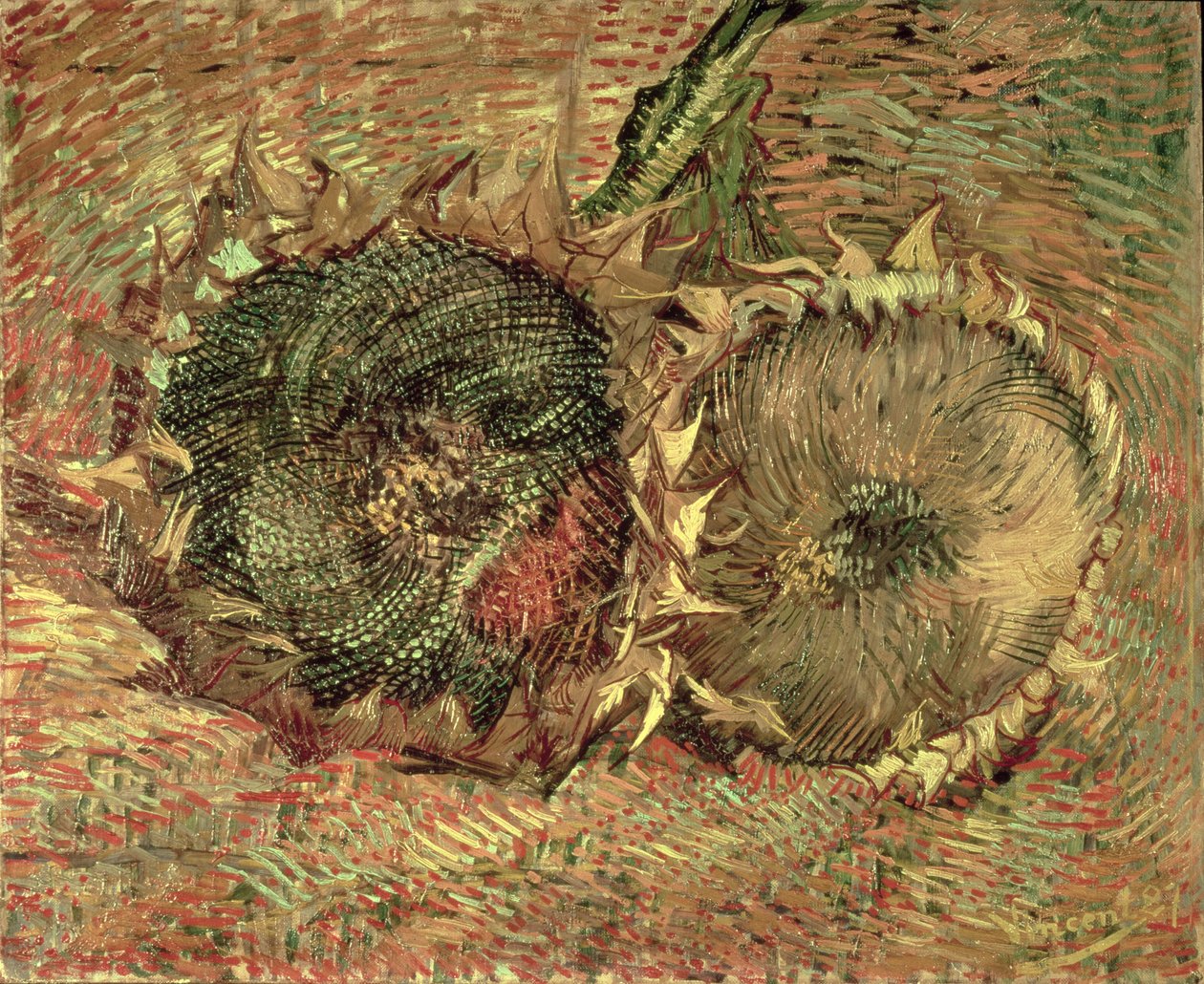To afskårne solsikker, 1887 af Vincent van Gogh