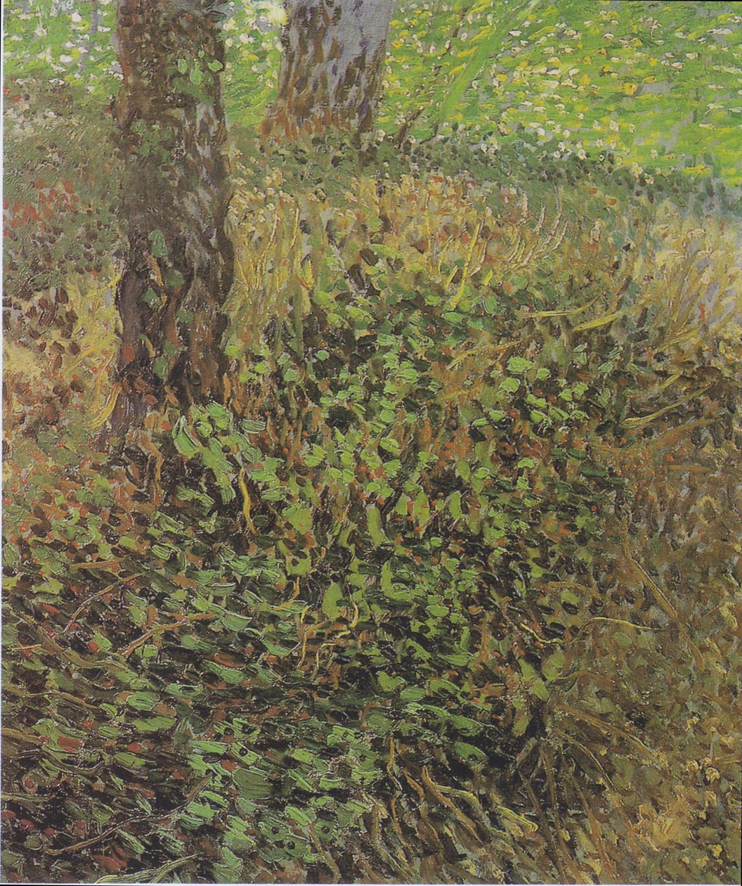 Underskov af Vincent van Gogh