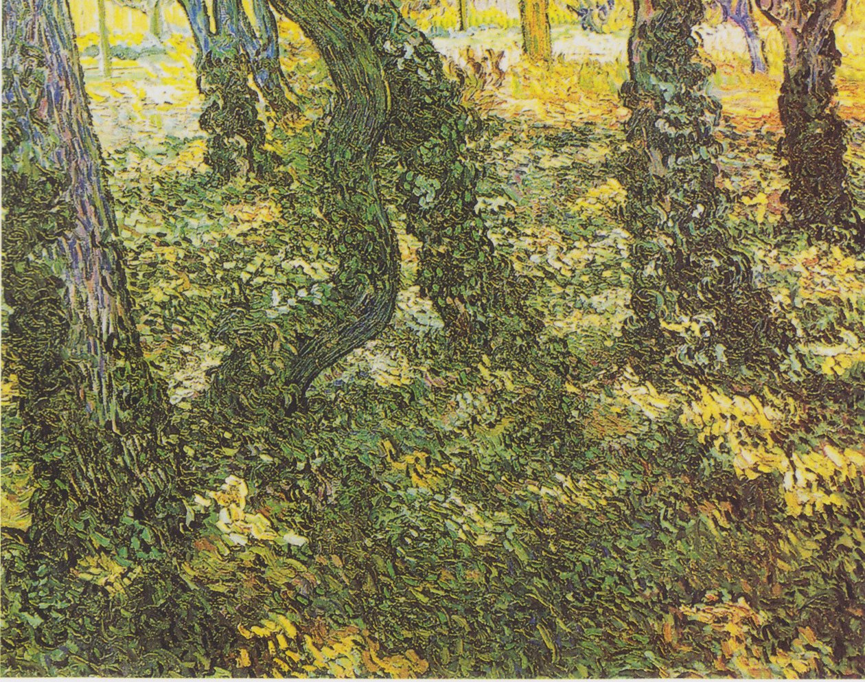 Underskov med vedbend af Vincent van Gogh