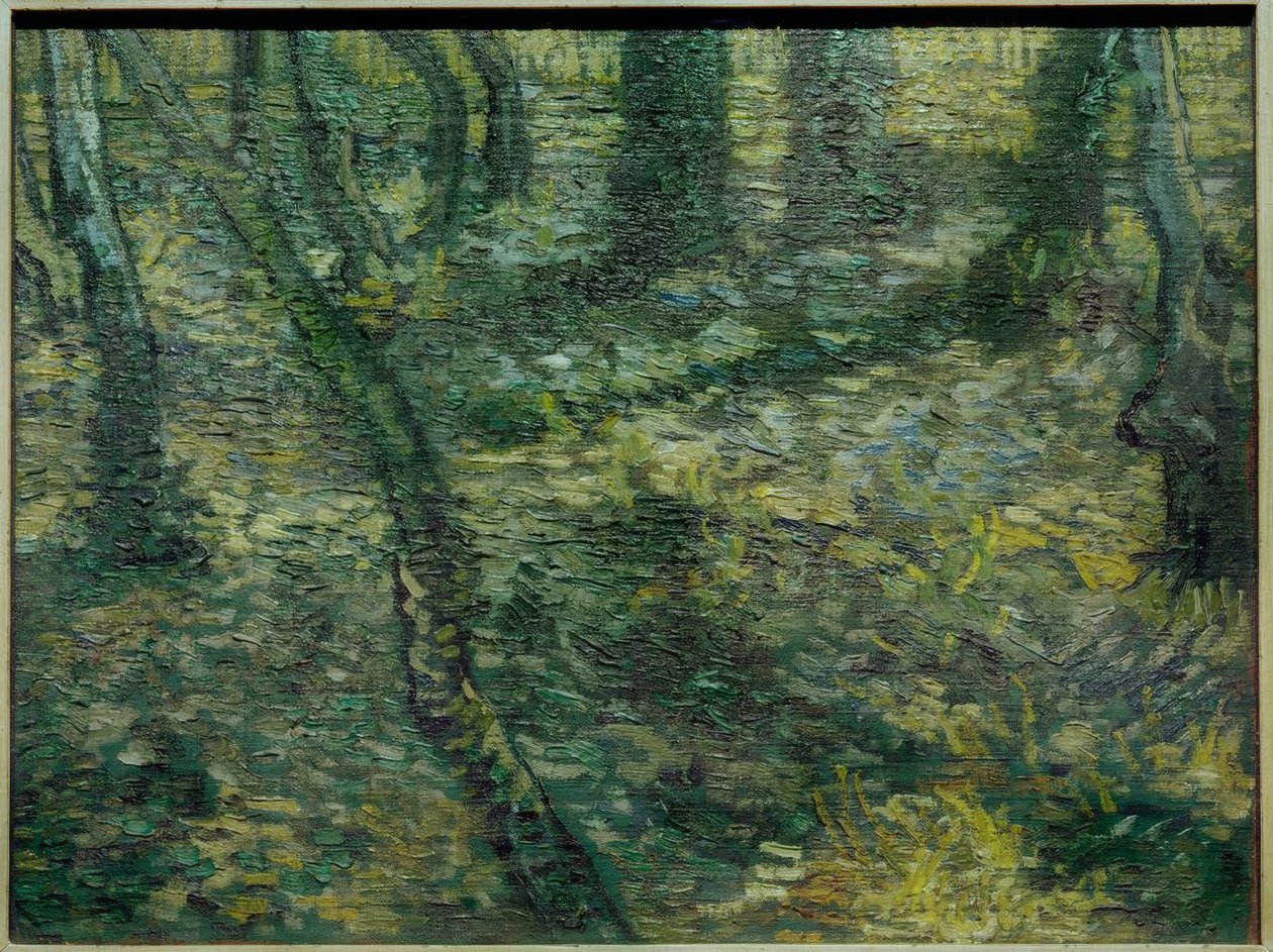 Underskov med vedbend af Vincent van Gogh