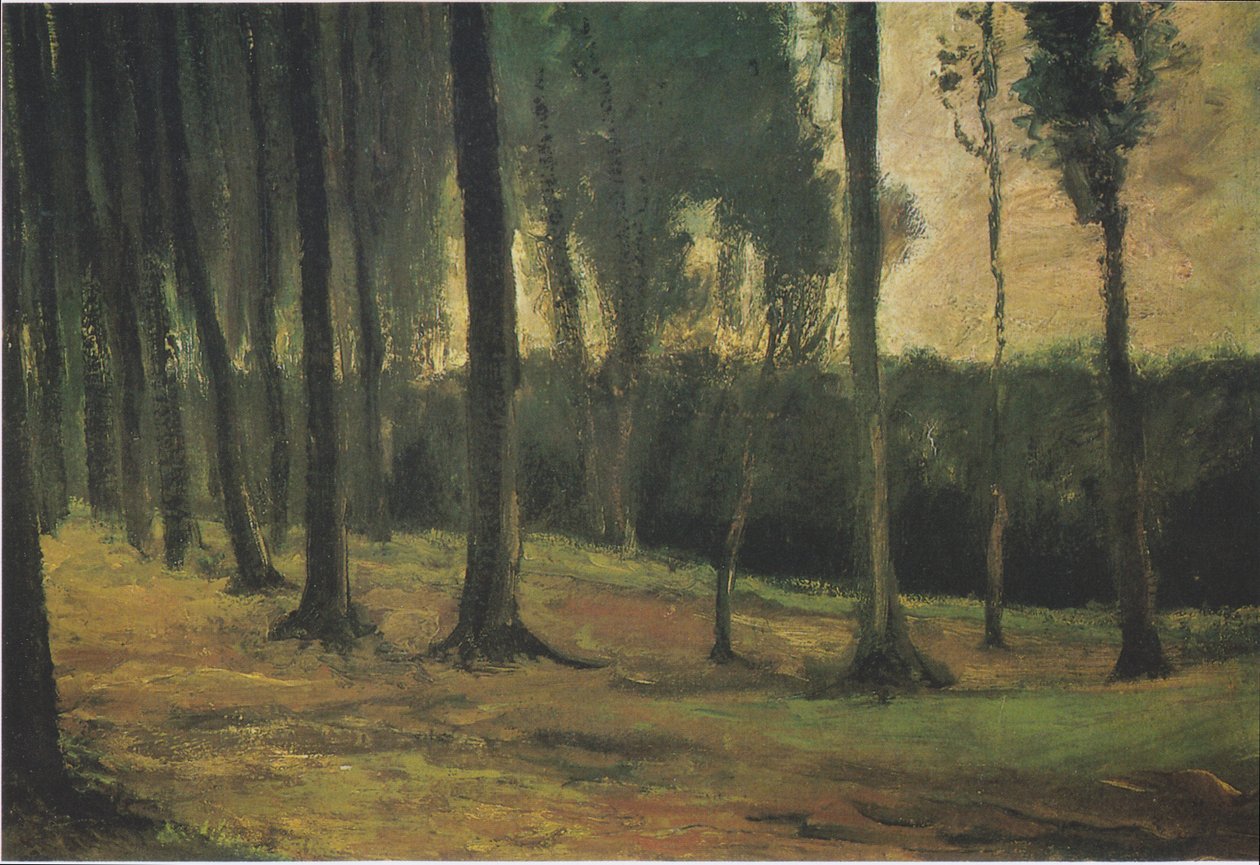 Kanten af ​​skoven af Vincent van Gogh