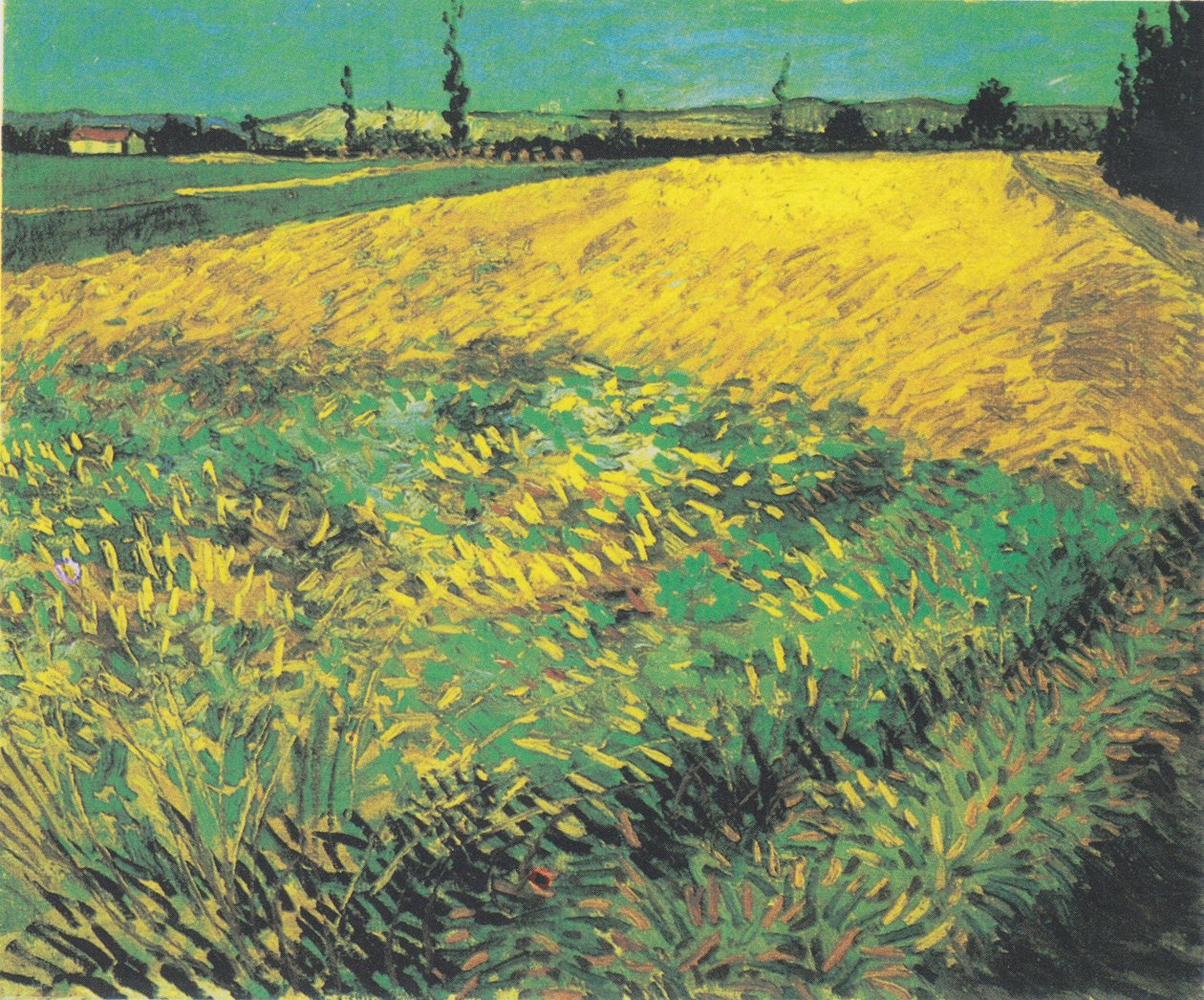 Hvedemark med bakker i Alpillerne i baggrunden af Vincent van Gogh