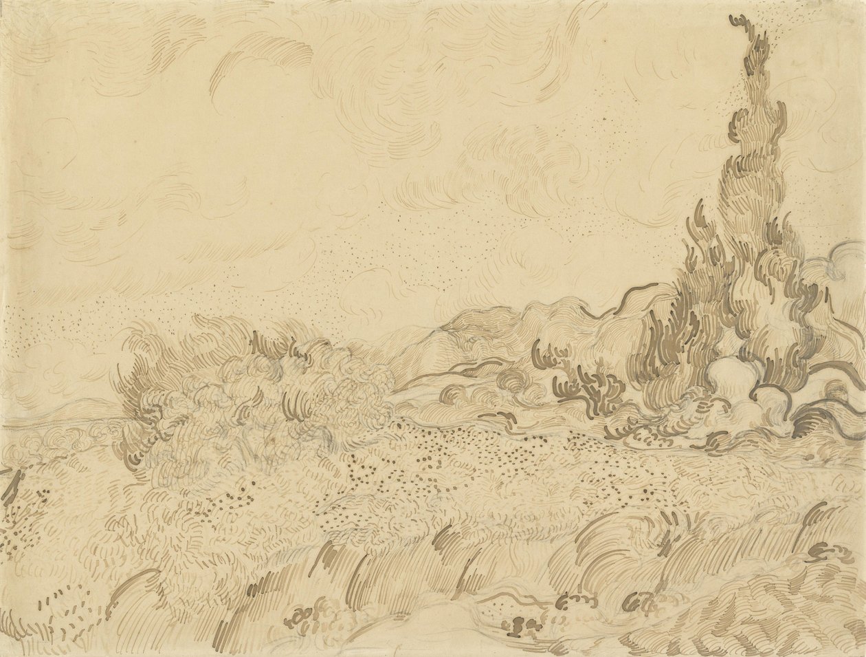 Hvedemark med cypresser 2 af Vincent van Gogh