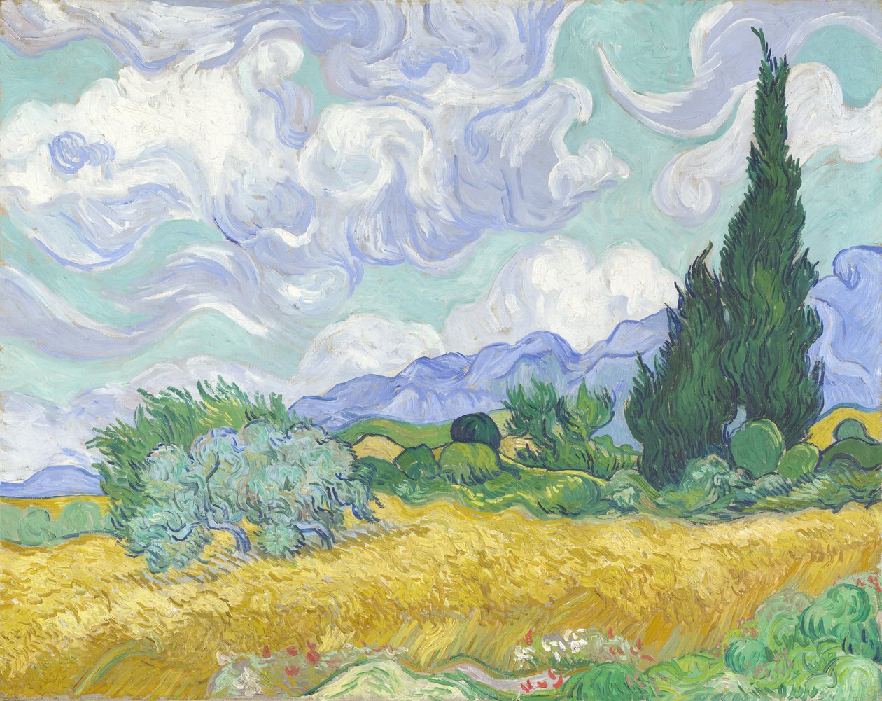 Hvedemark med Cypresser af Vincent van Gogh