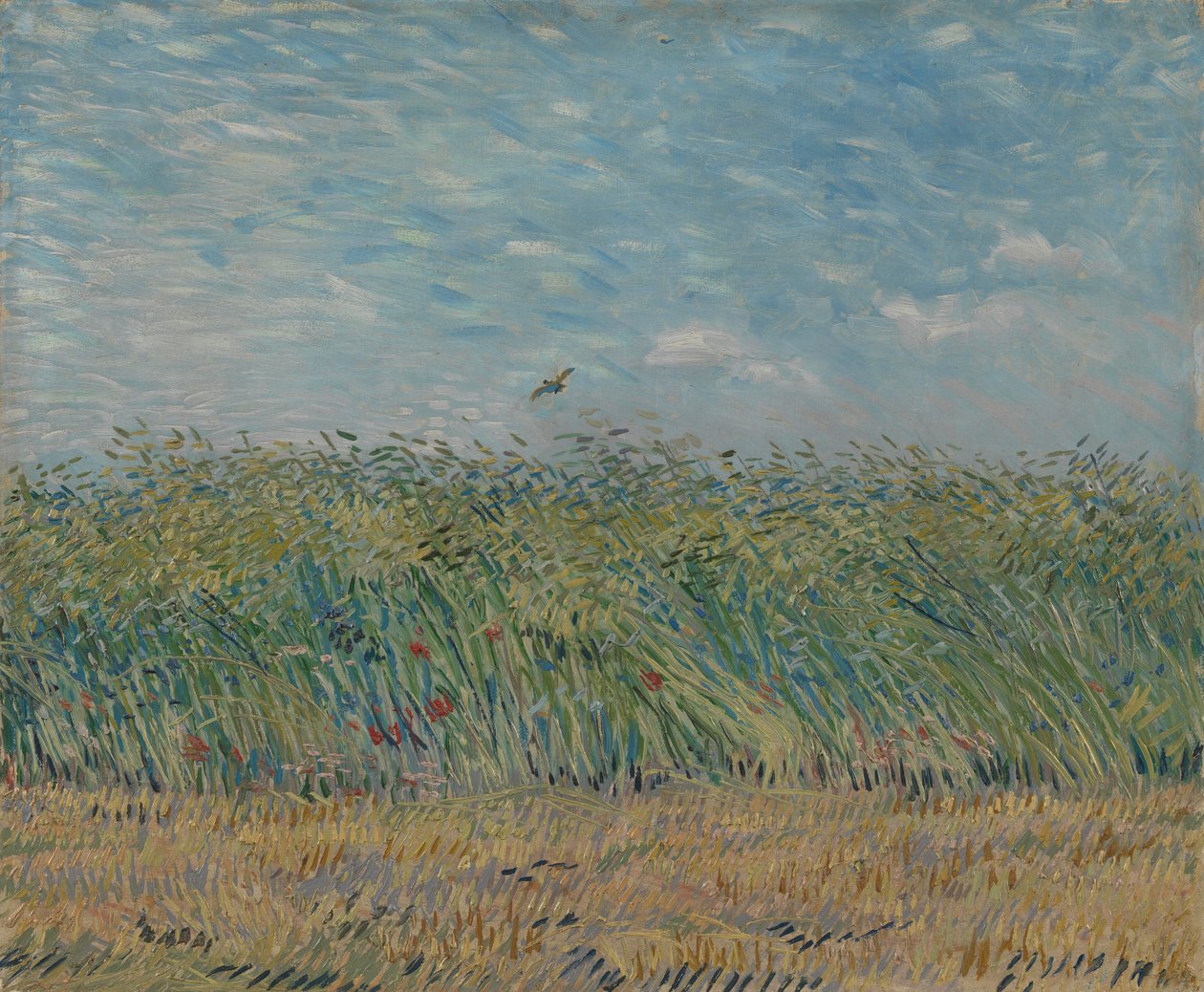 Hvedemark med Agerhøne, 1887 af Vincent van Gogh
