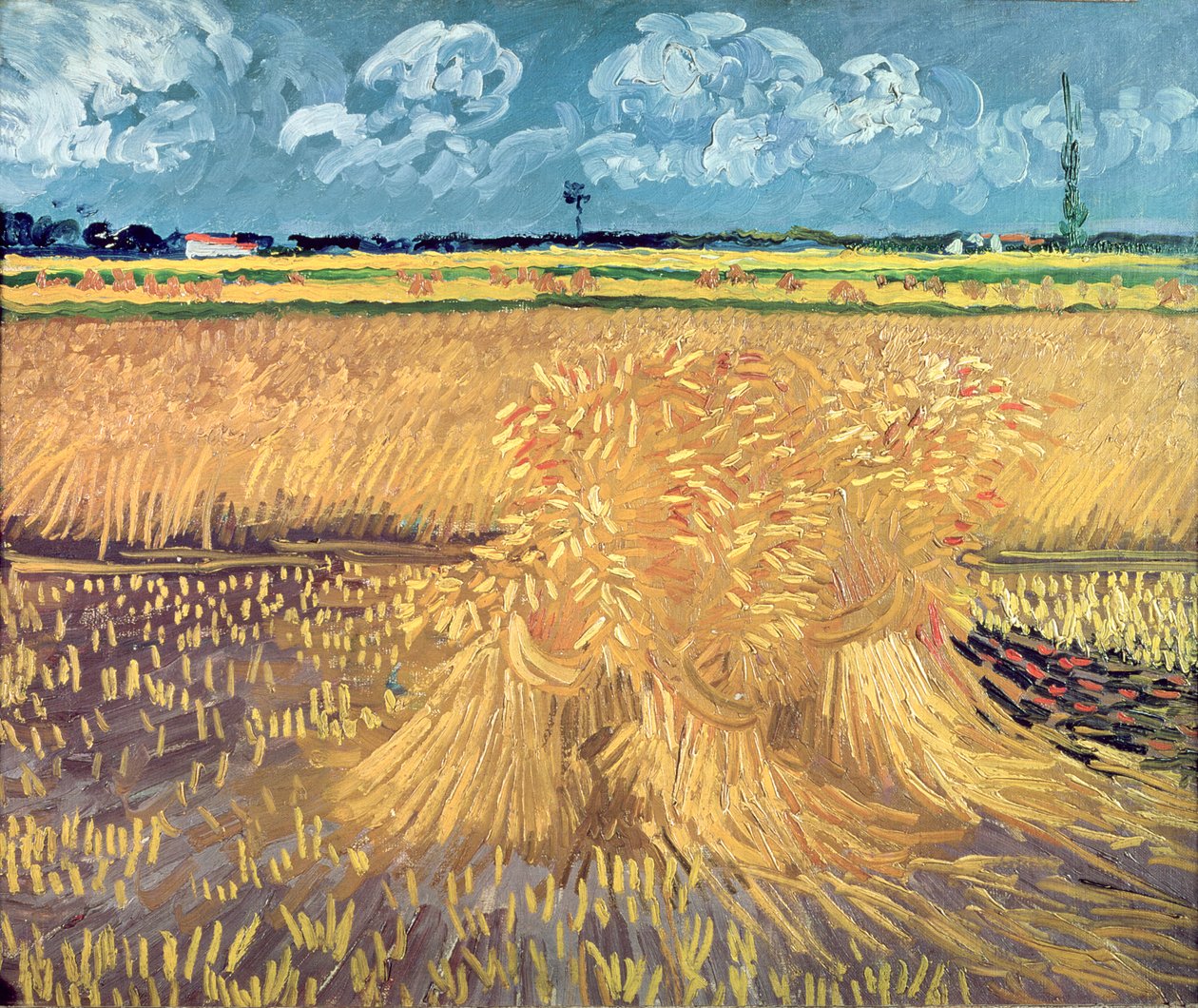 Hvedemark med skiver, 1888 af Vincent van Gogh