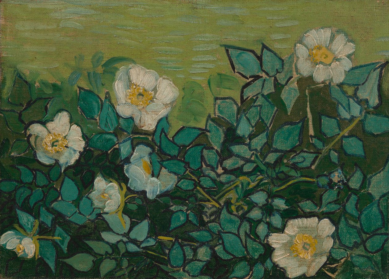 Vilde roser af Vincent van Gogh