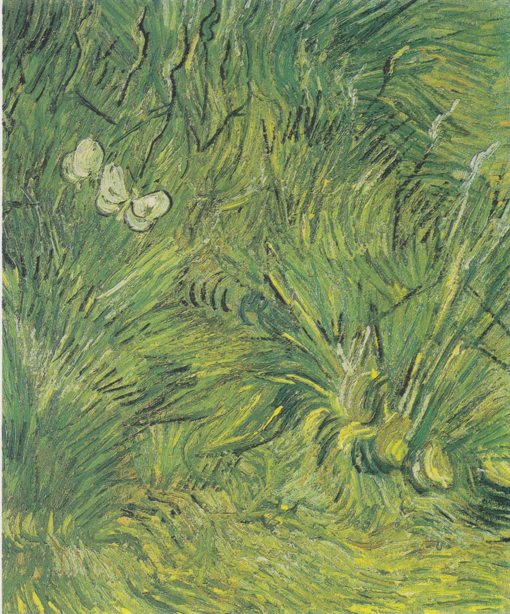 To hvide sommerfugle af Vincent van Gogh
