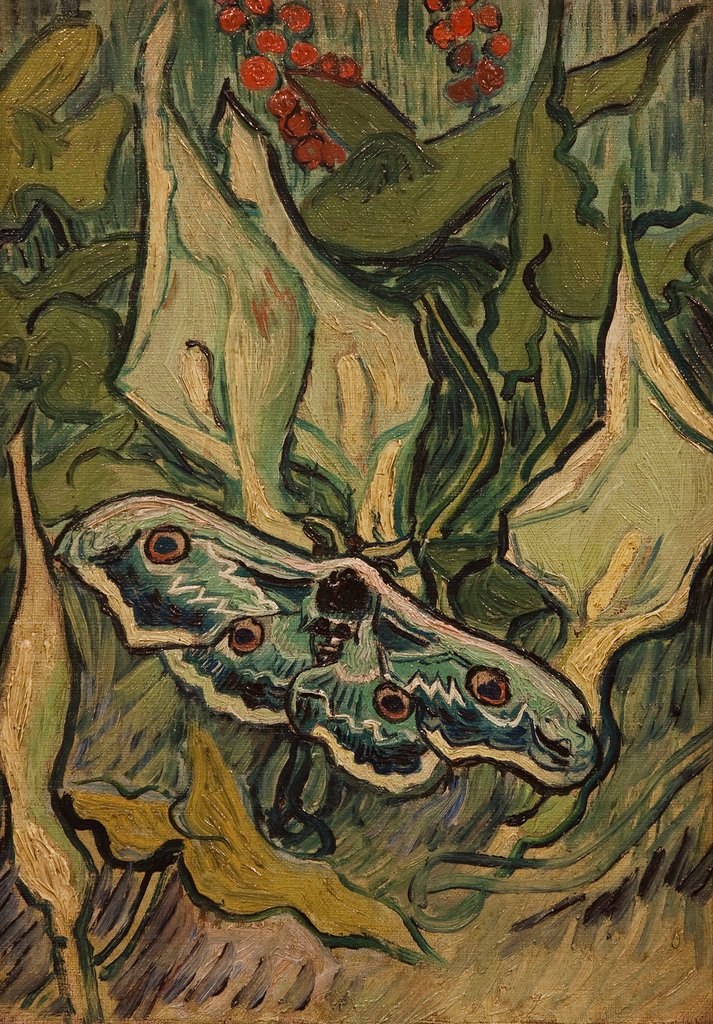 afra af Vincent van Gogh