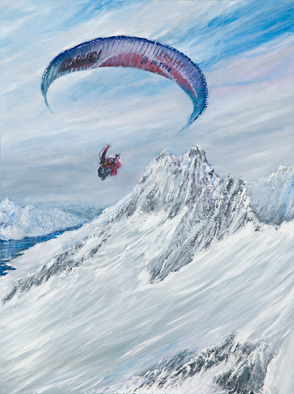 Antarctic Flier, 2015, af Vincent Alexander Booth