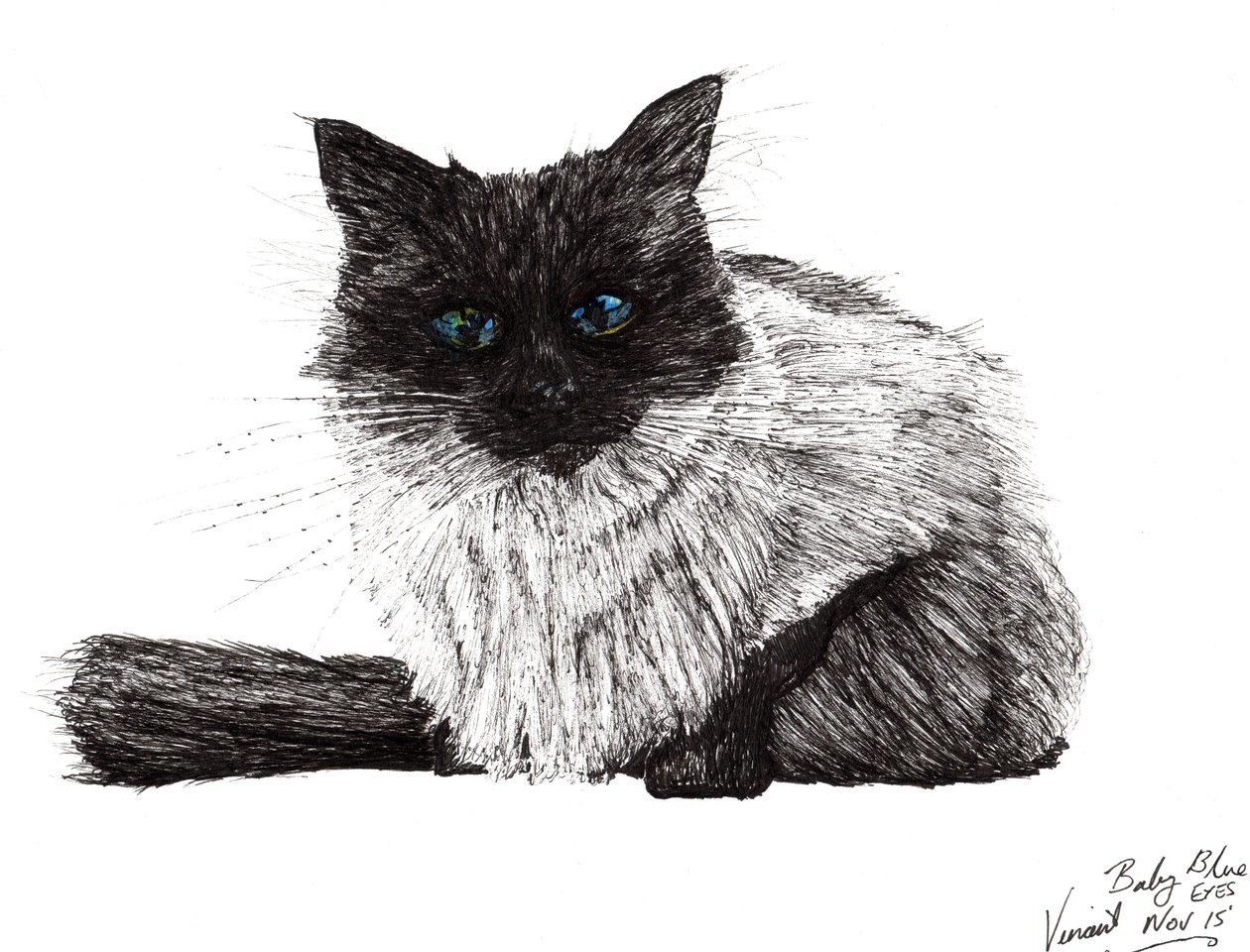 Baby blue eyes, 2015, (blæk på papir) af Vincent Alexander Booth