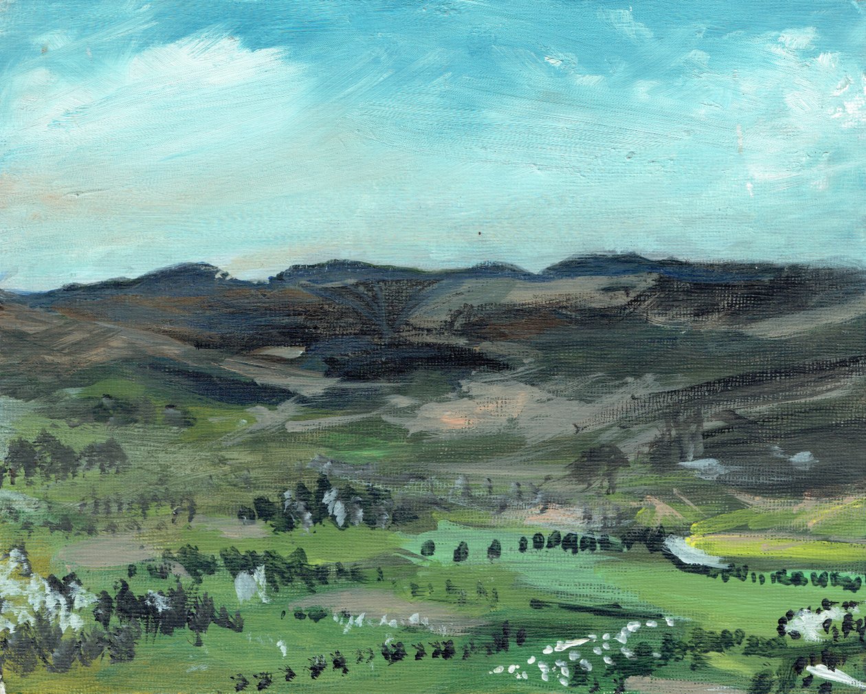 Cairngorms fra Creag Dhubh, 2006, (akryl på lærred) af Vincent Alexander Booth