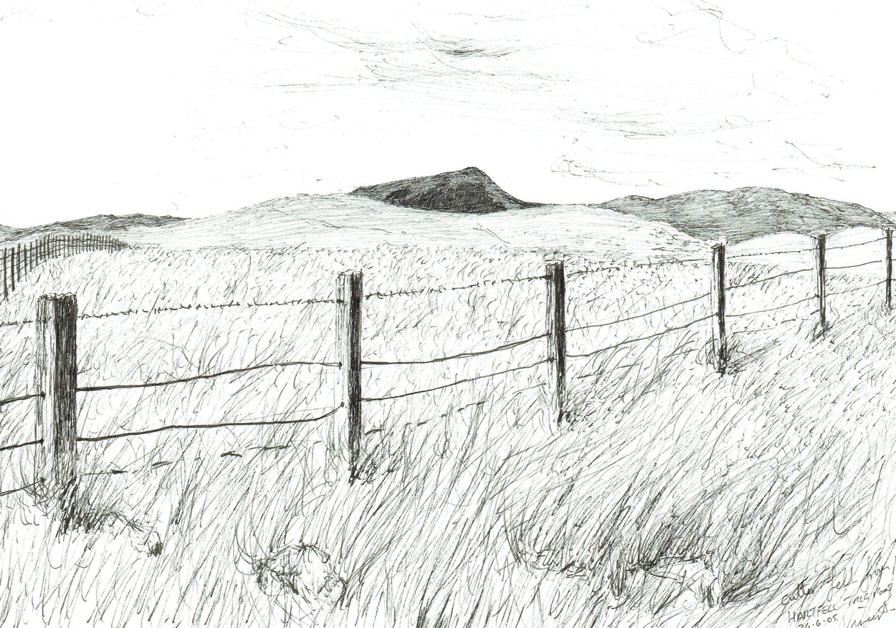 Culter Fell fra Hartfell, 2005 af Vincent Alexander Booth