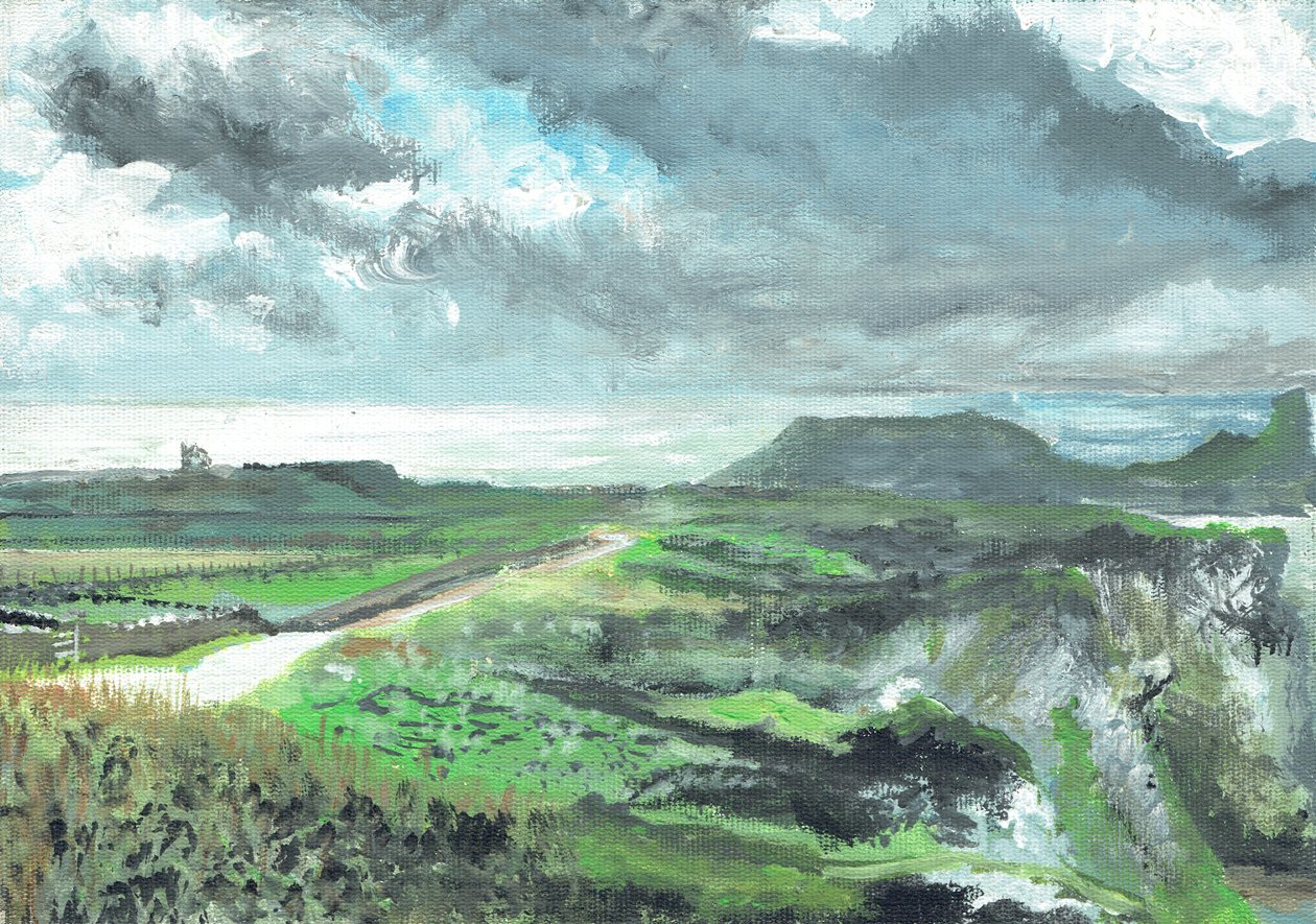 Gower Point, 1991, (akryl på lærredstavle) af Vincent Alexander Booth