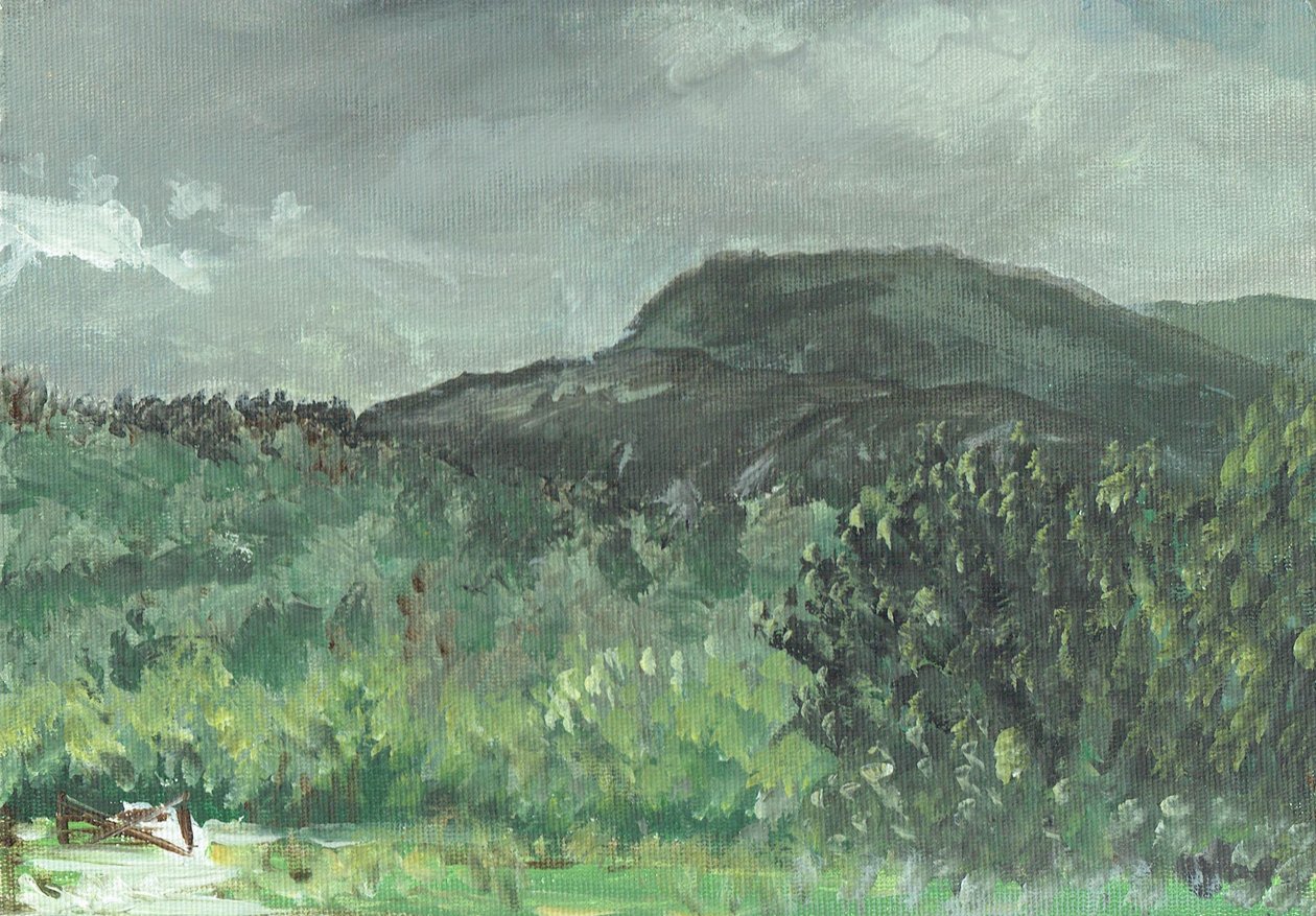 Hills at Creag Dugh, 2006 af Vincent Alexander Booth