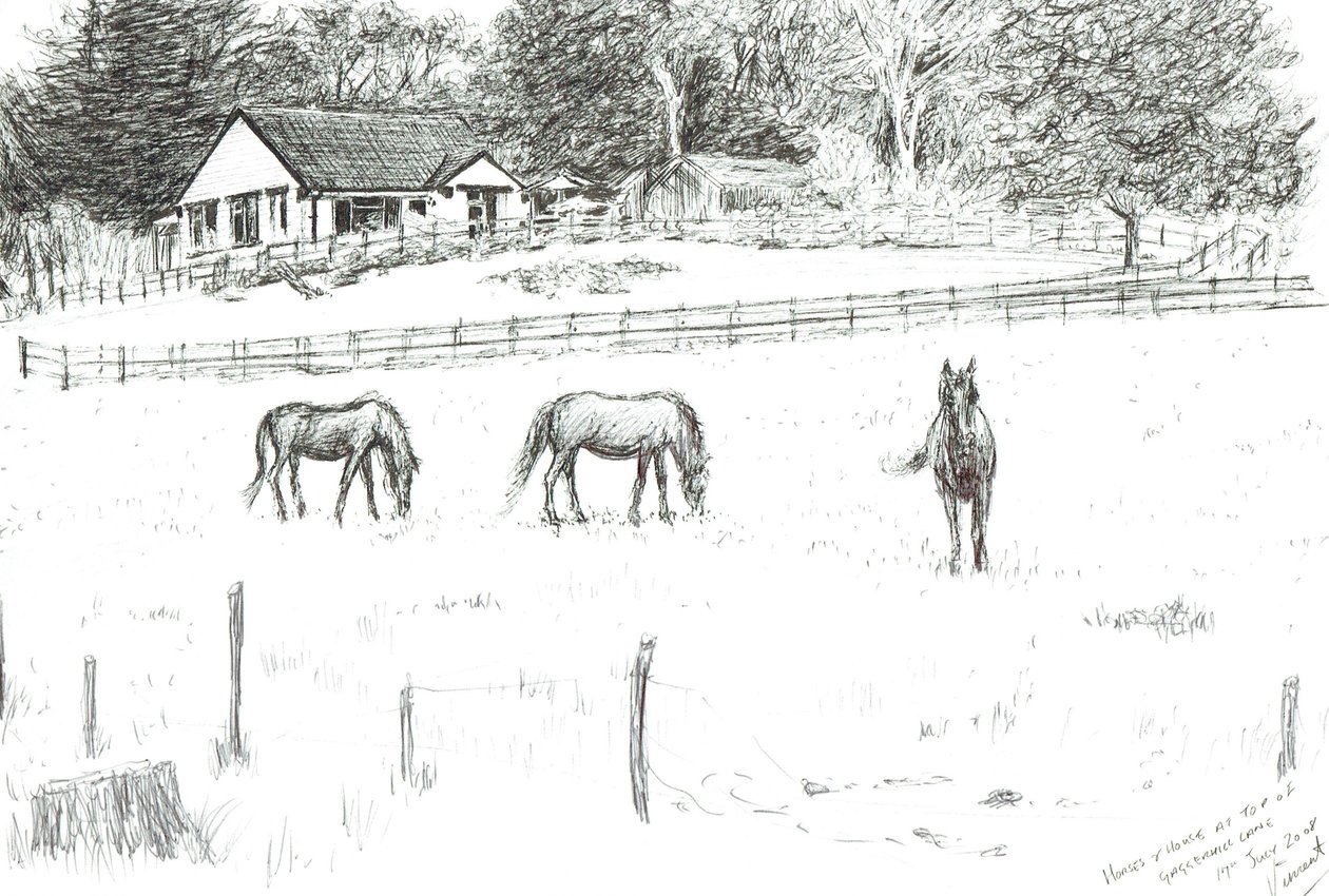 Heste øverst på banen, 2008 (blæk på papir) af Vincent Alexander Booth