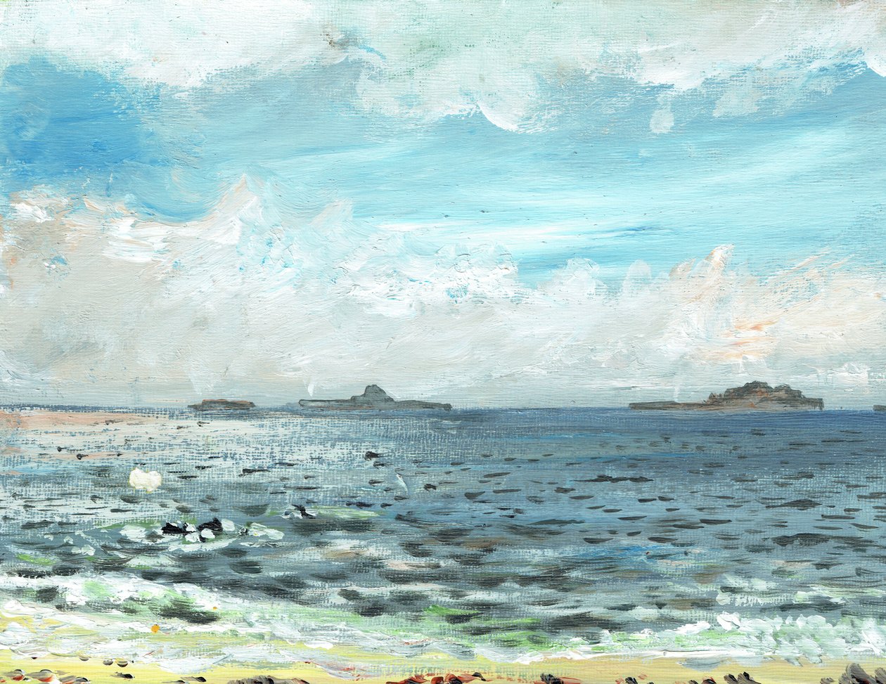 Iona beach, 2007, (akryl på lærredstavle) af Vincent Alexander Booth