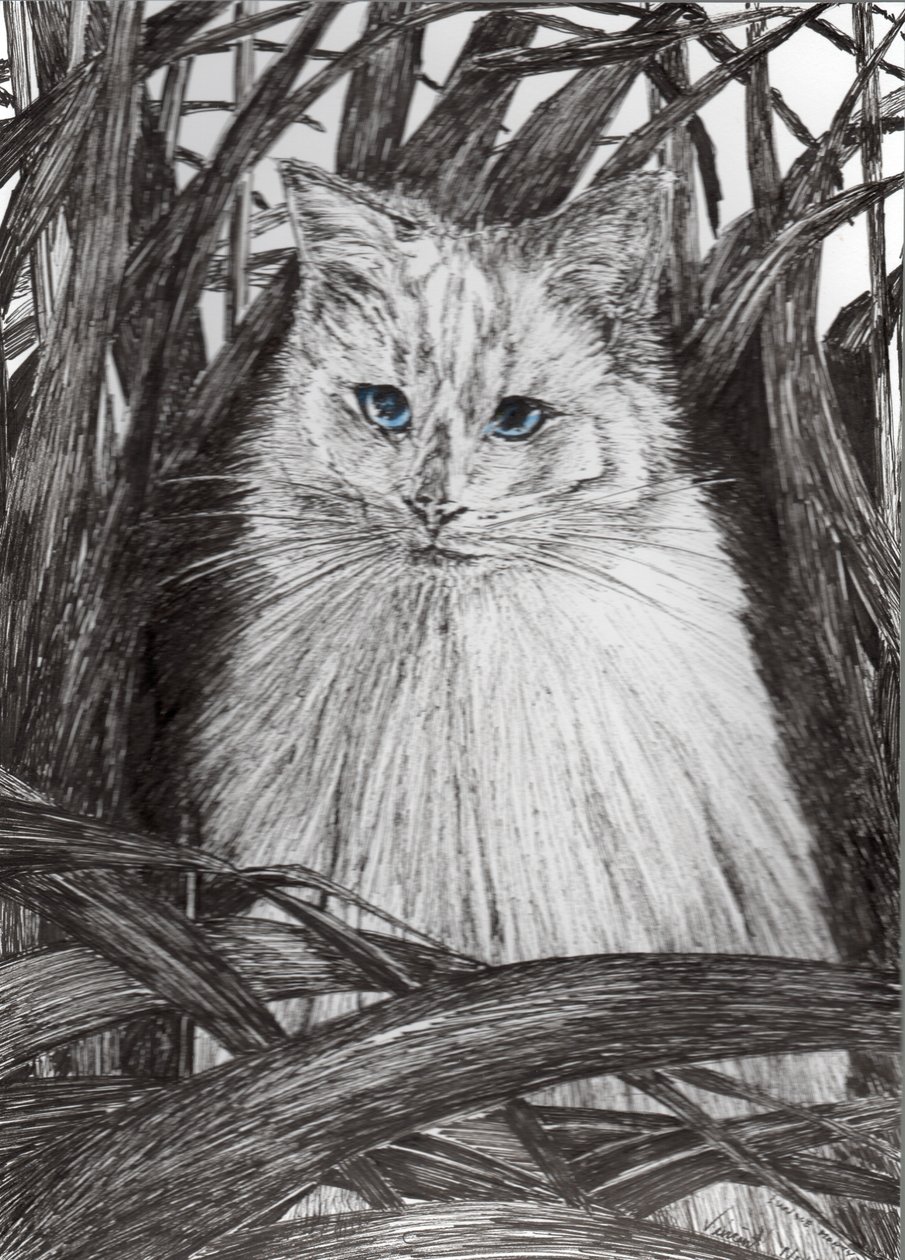 Jungle Monty, 2015, (blæk på papir) af Vincent Alexander Booth
