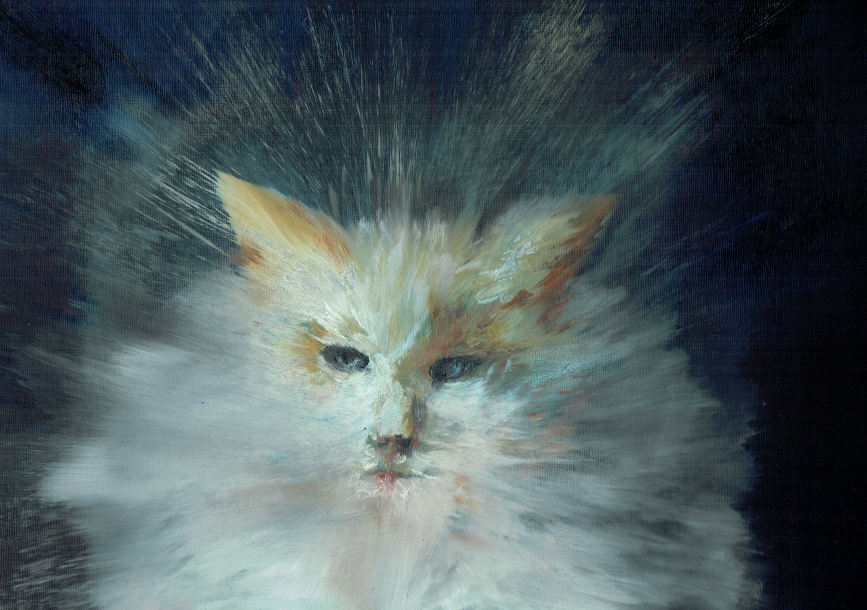 Monty fluffball, 2015, (olie på lærredstavle) af Vincent Alexander Booth