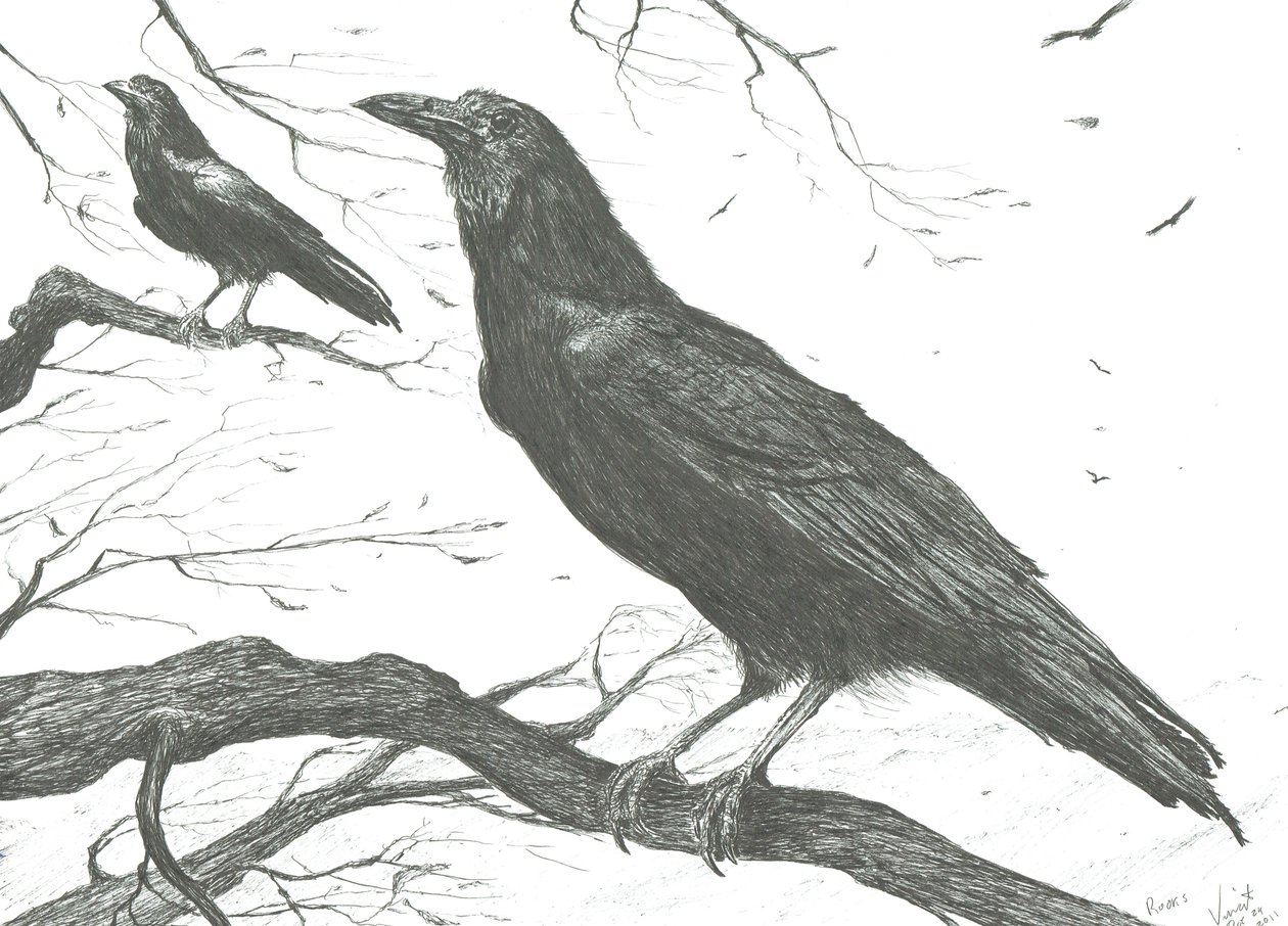 Observatører, 2011 af Vincent Alexander Booth