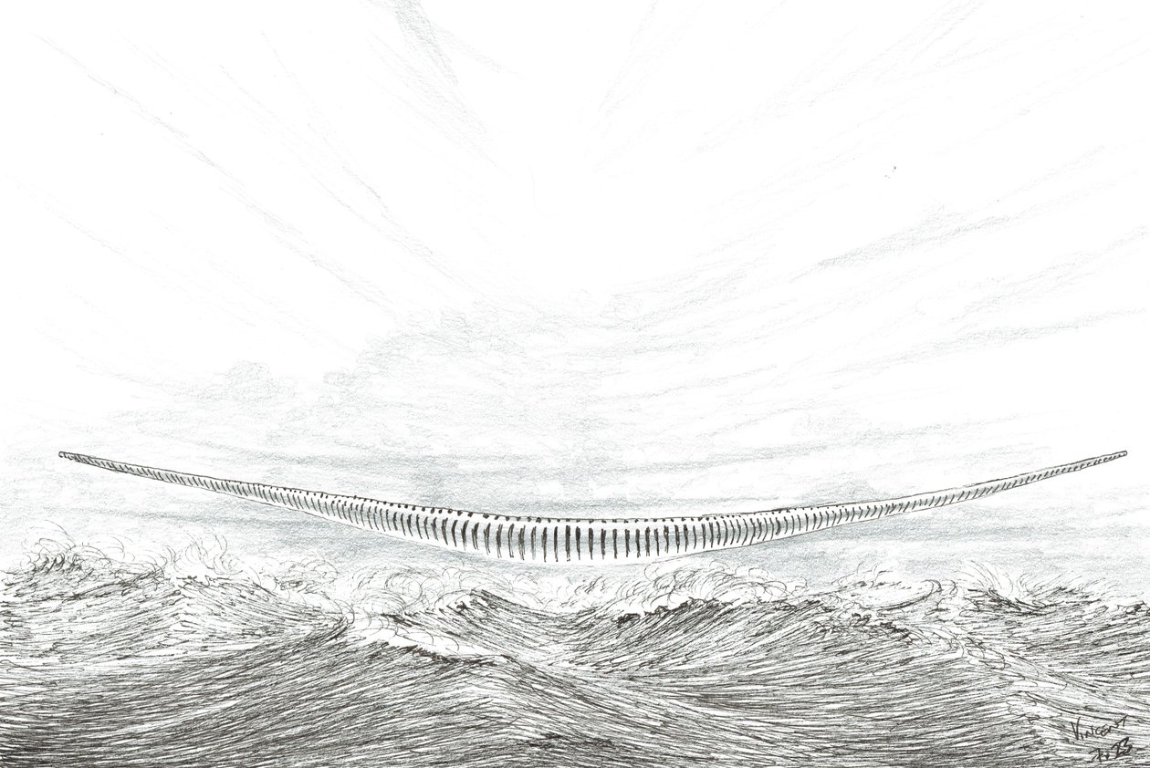 Stormskabere Cape Leveque, 2023 af Vincent Alexander Booth