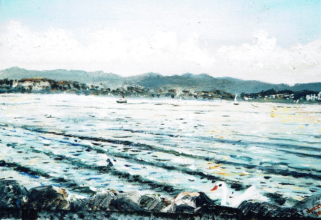 Svane ved søen, 2010 af Vincent Alexander Booth