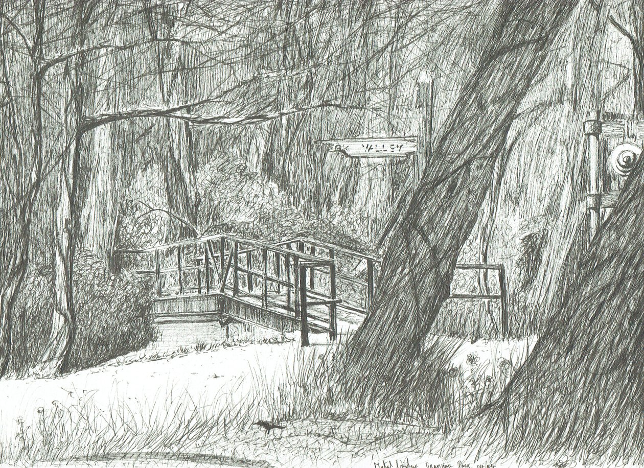 Den gamle metalbro, Bramhall park, 2004 af Vincent Alexander Booth