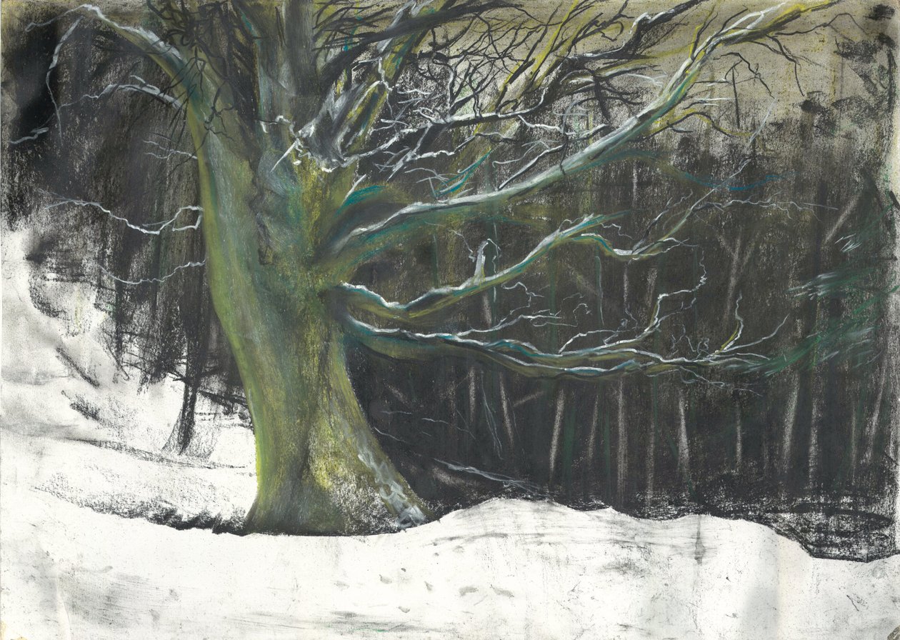Træ i vintersne ved Osmotherley woods af Vincent Alexander Booth