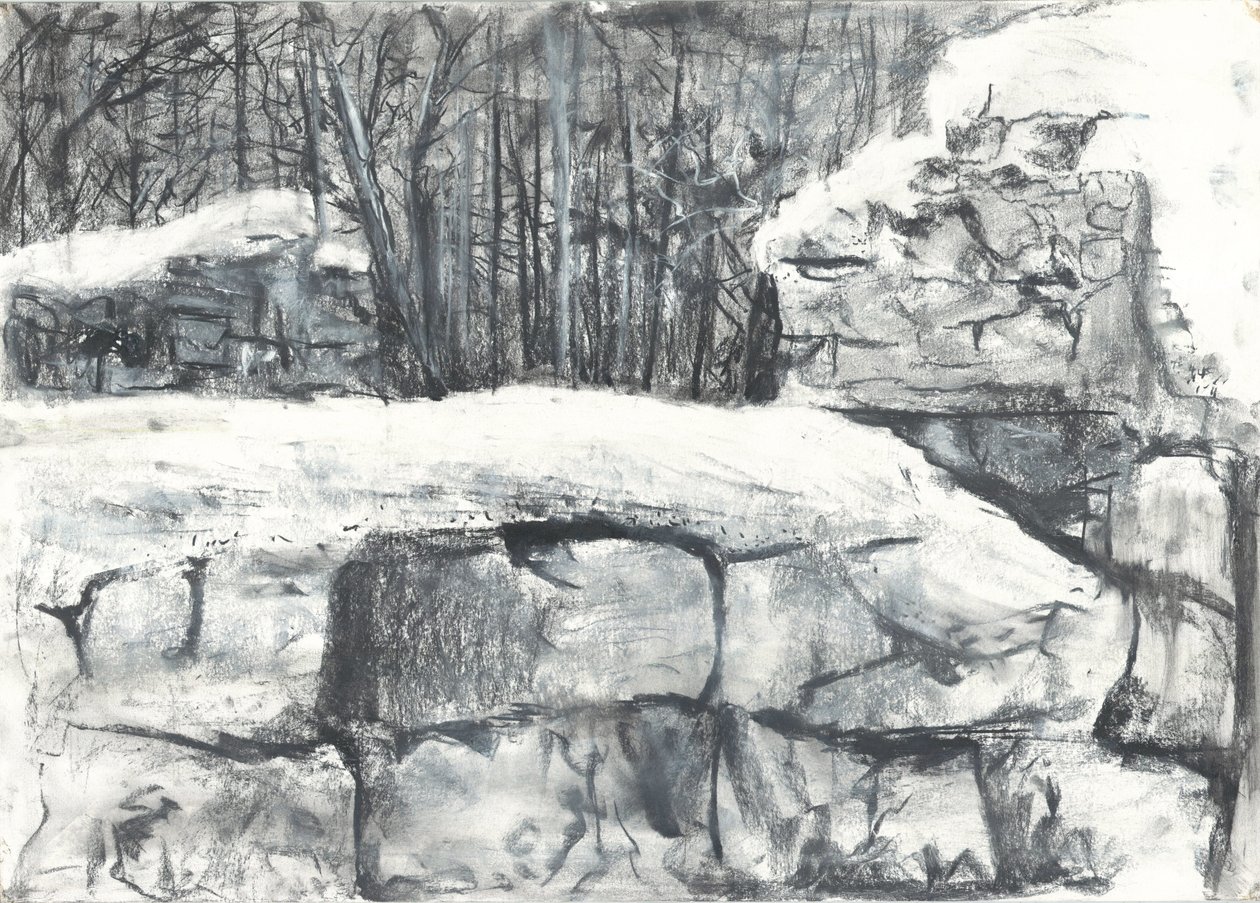 Wall in the Woods Osmotherley af Vincent Alexander Booth