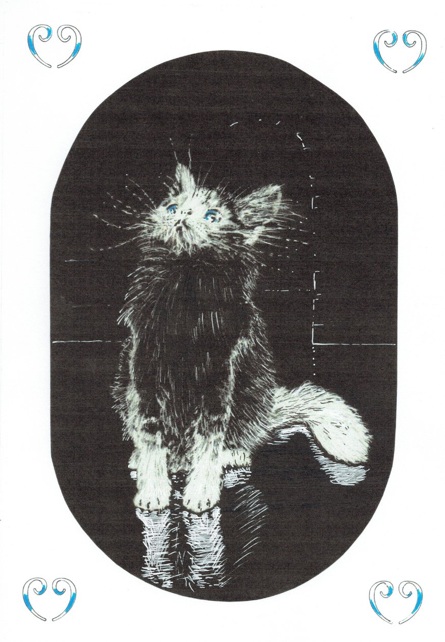 side 1, Slottet i Findhorns skov, 2006, (blæk på papir) af Vincent Alexander Booth