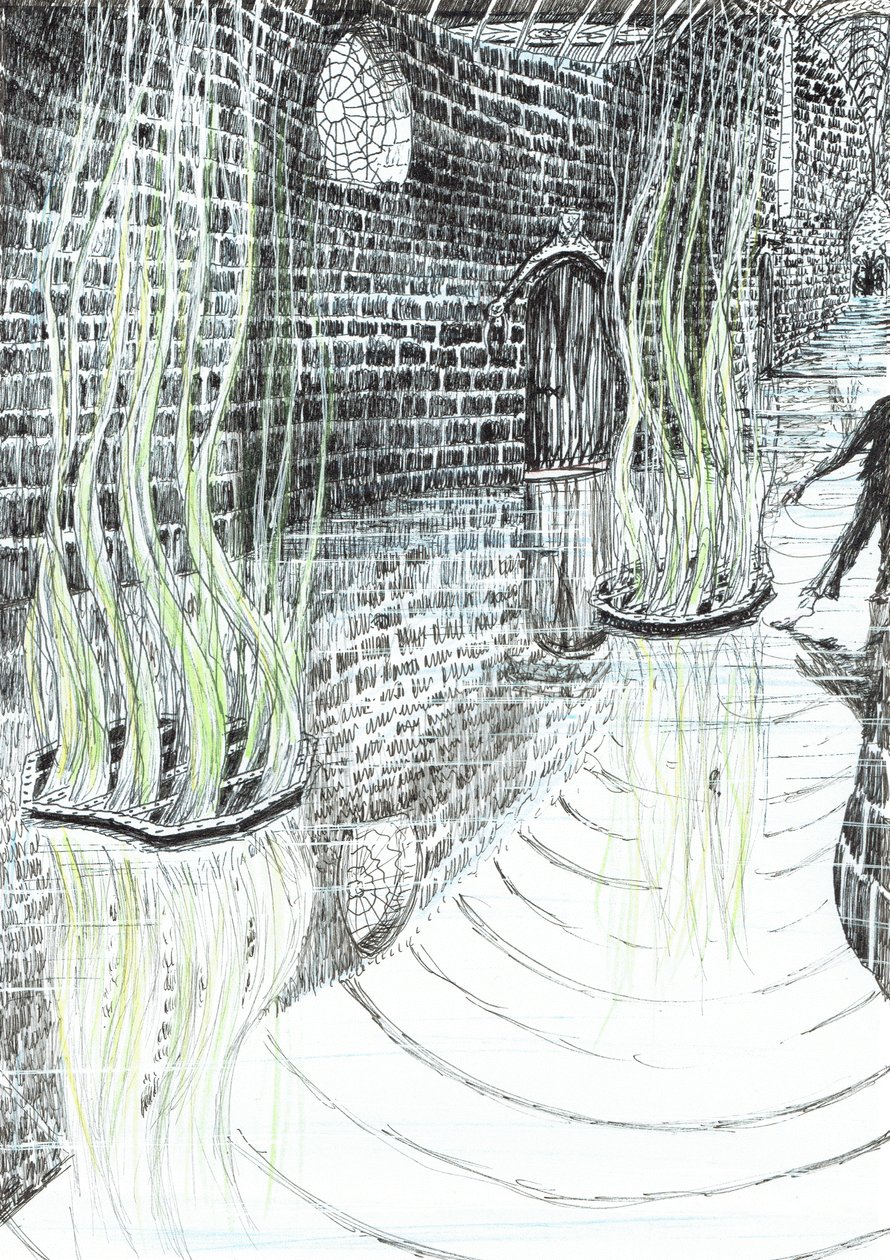 side29, The Castle in the Forest of Findhorn, 2006, (blæk på papir) af Vincent Alexander Booth