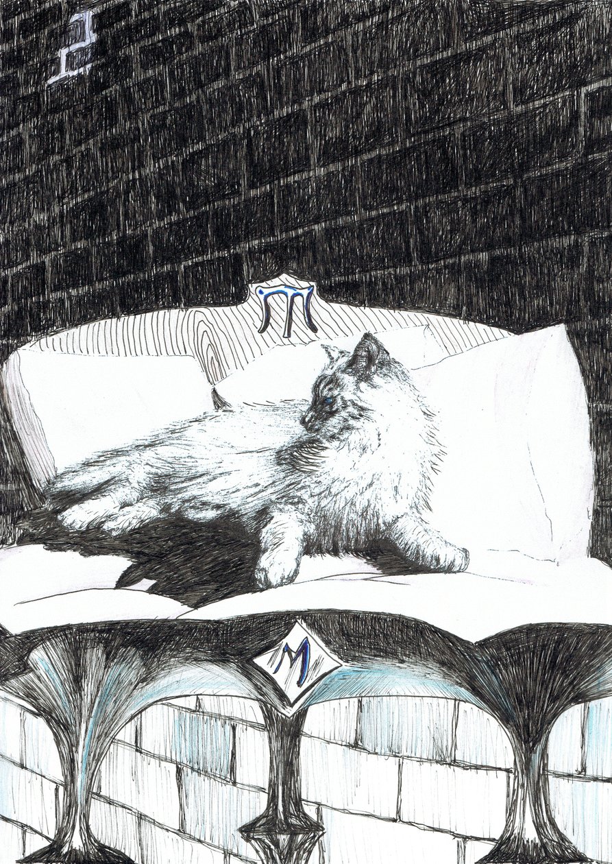side52, The Castle in the Forest of Findhorn, 2006, (blæk på papir) af Vincent Alexander Booth