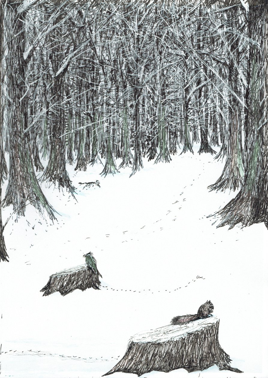 side 5, Slottet i Findhorns skov, 2006, (blæk på papir) af Vincent Alexander Booth