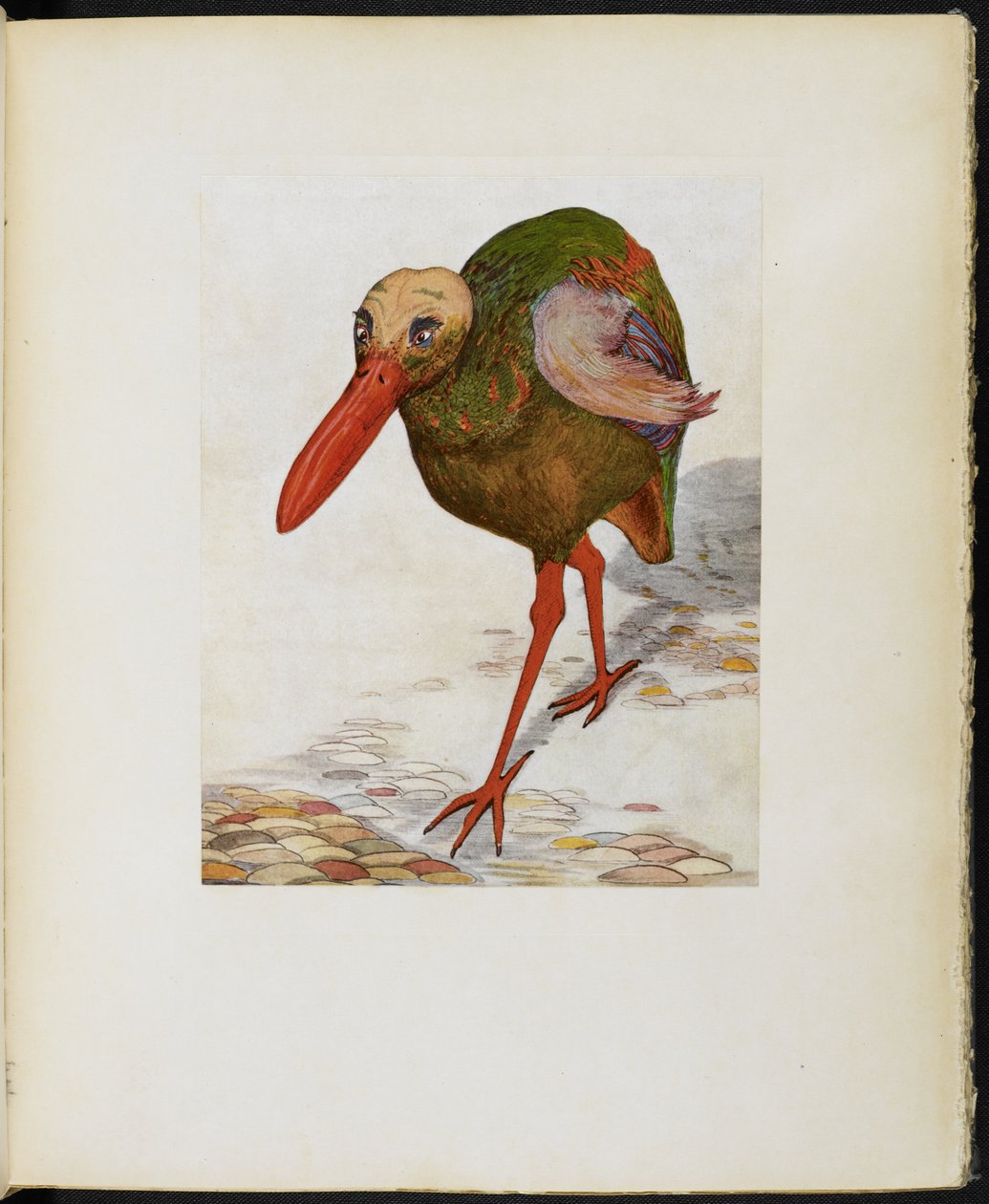 Great Skull-Headed Stone Trot, fra 