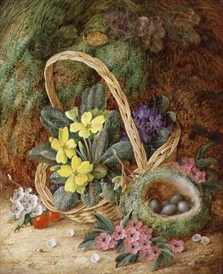 Stilleben med primula og en fuglerede (olie på lærred) af Vincent Clare