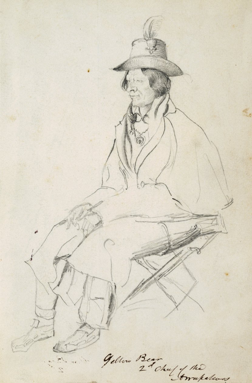 Yellow Bear, second chief of Arrapahoes af Vincent Colyer