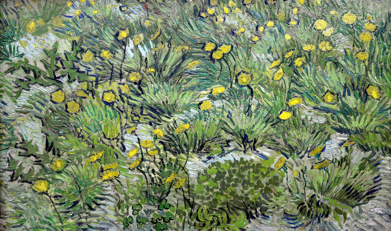 Mælkebøtterne Mælkebøtter, 1889. af Vincent van Gogh