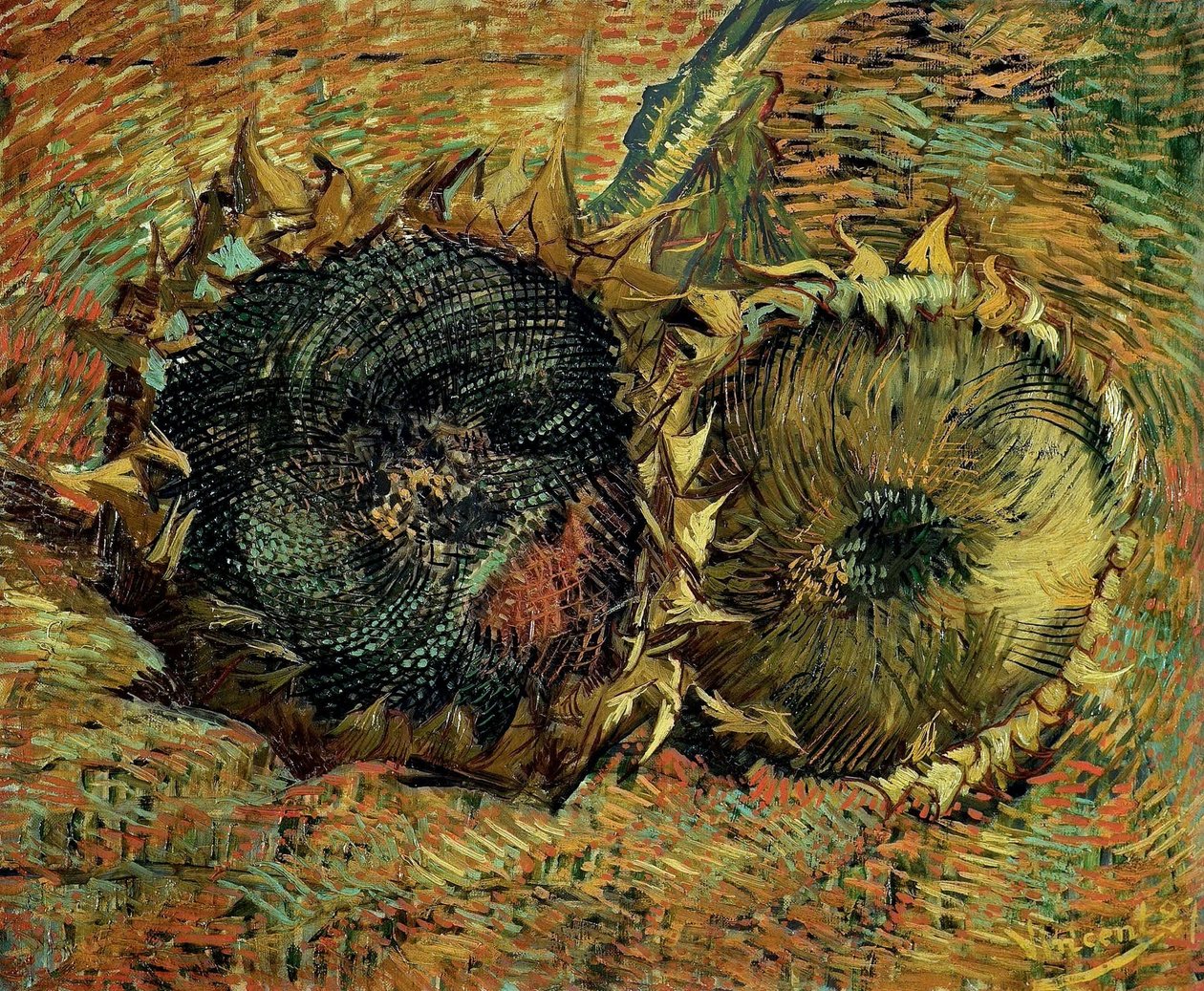 To afskårne solsikker, 1887. af Vincent van Gogh