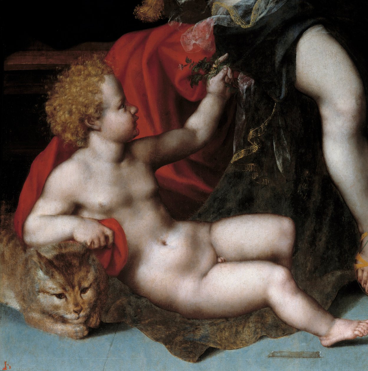 Jupiter i satyre med Antiope og hendes Detail tvillinger, der repræsenterer en af tvillingerne med en kat. Maleri af Vincent Sellaer (ca. 1500-1589) 1500-tallet. af Vincent Sellaer
