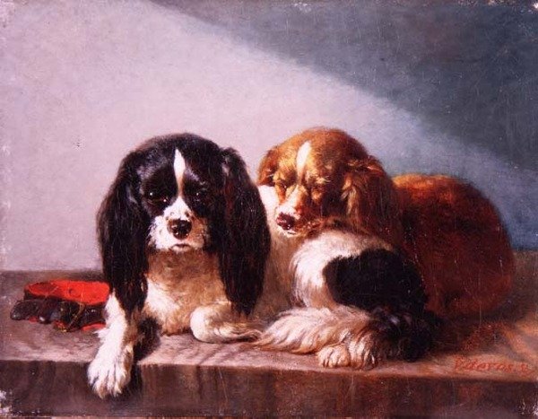 Et par Cavalier King Charles Spaniels på en afsats af Vincent de Vos