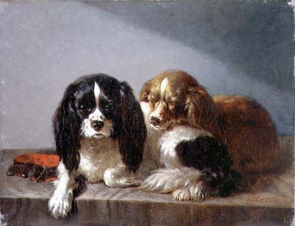 King Charles Spaniels af Vincent de Vos