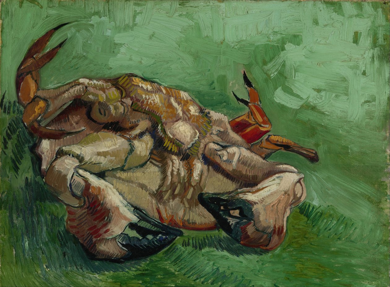 En krabbe på ryggen af Vincent van Gogh