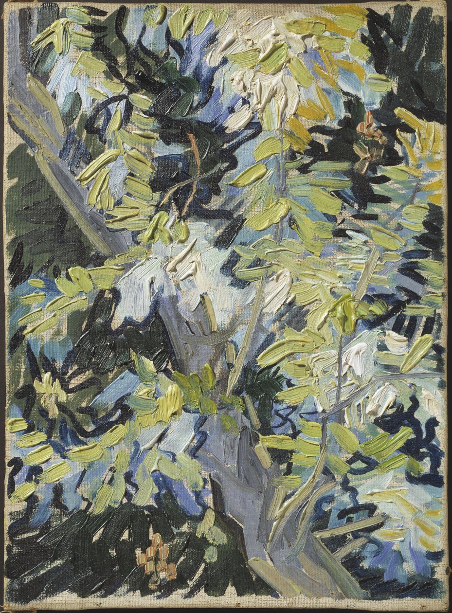 Acacia en fleur - Acacia Flowering, af Gogh, Vincent, van (1853-1890). Olie på lærred. Mål: 33x24 cm. Nationalmuseum Stockholm af Vincent van Gogh