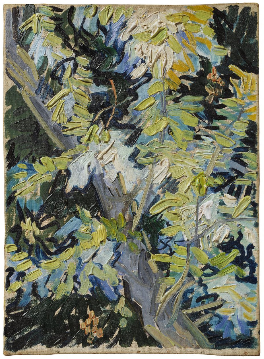 Blomstrende akacie af Vincent van Gogh
