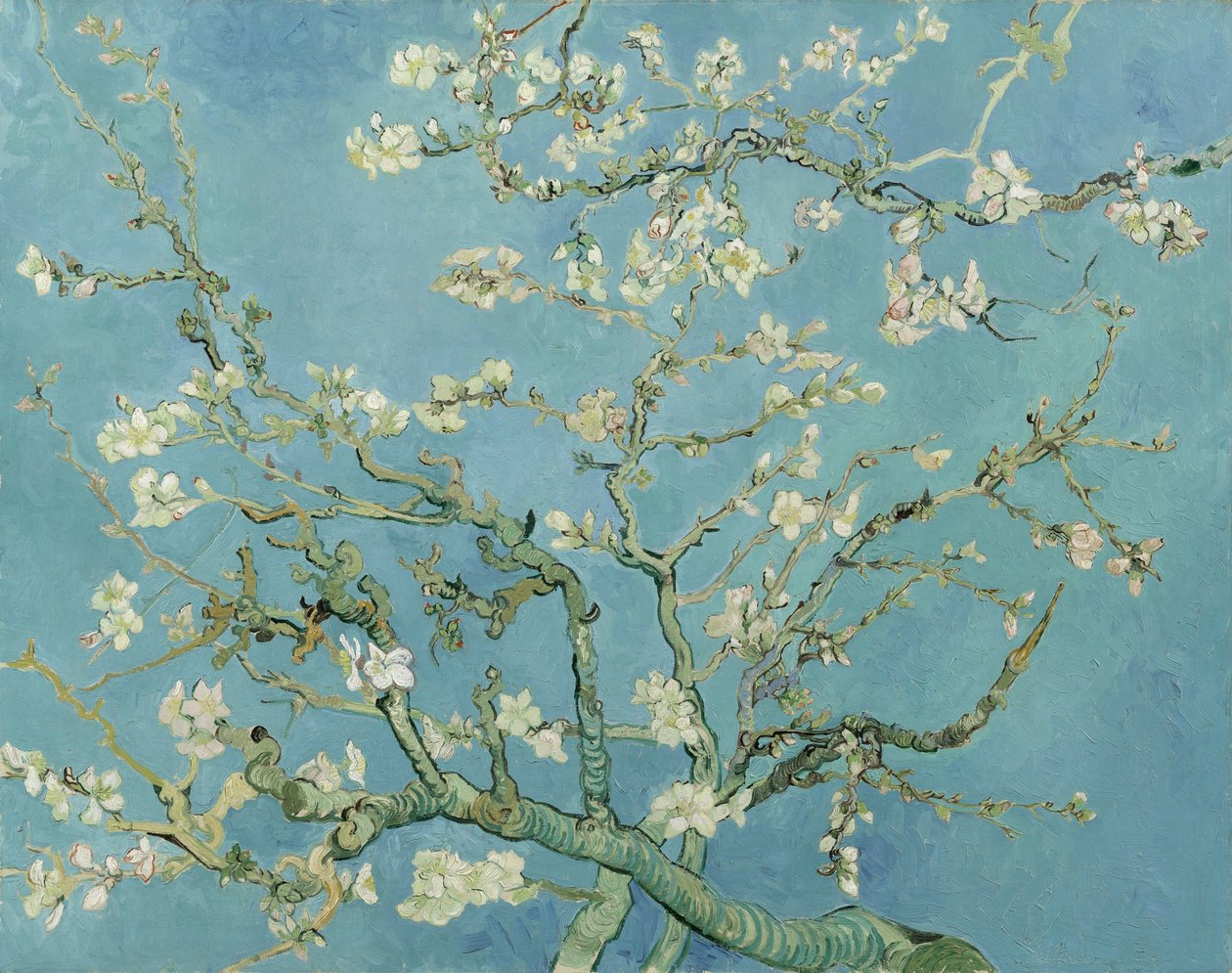 Mandelblomst af Vincent van Gogh