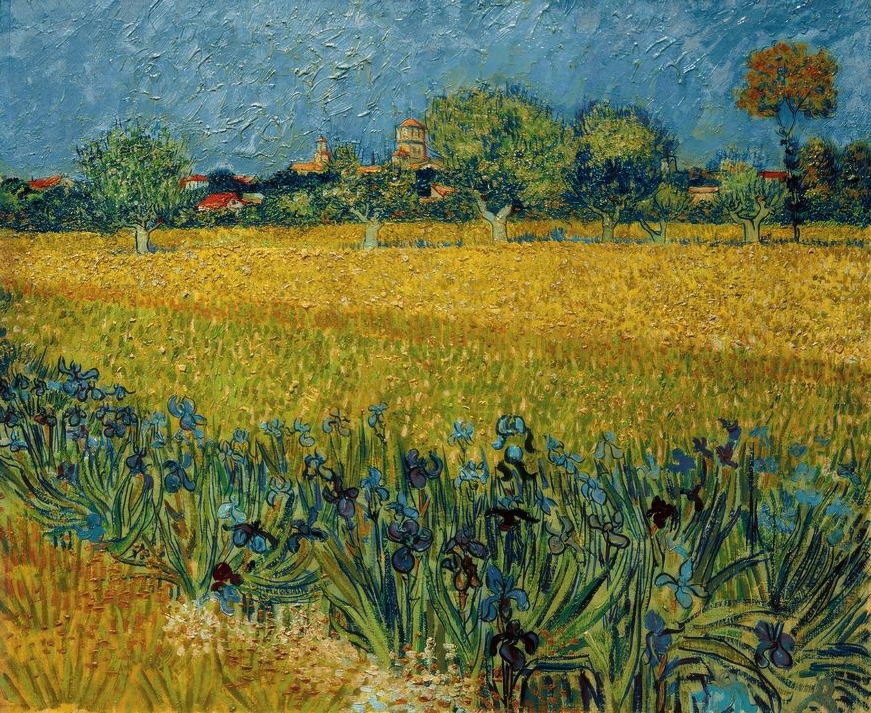 Udsigt over Arles med irisblomster i forgrunden af Vincent van Gogh