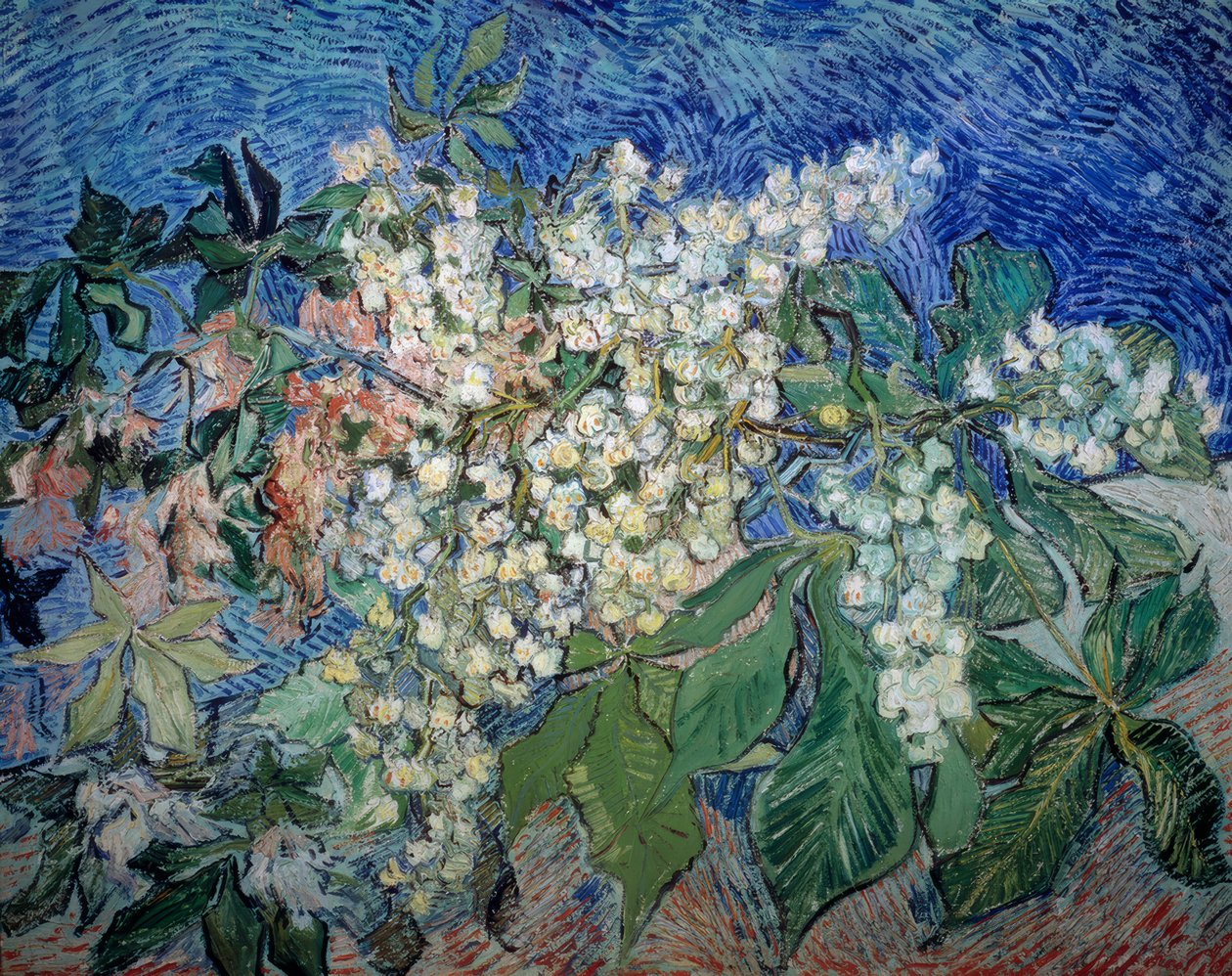 Blomstrende kastanjegrene af Vincent van Gogh